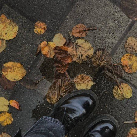  عکس پرو فایل پاییز واقعی