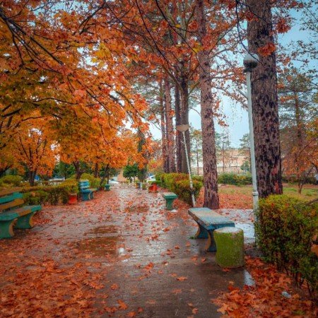  254 عکس پاییز برای تصویر زمینه