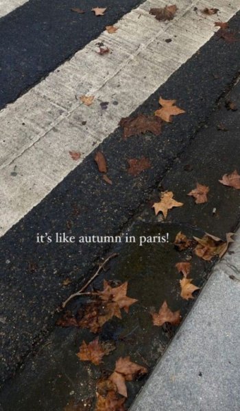  254 عکس پاییز برای تصویر زمینه