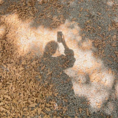  254 عکس پاییز برای تصویر زمینه