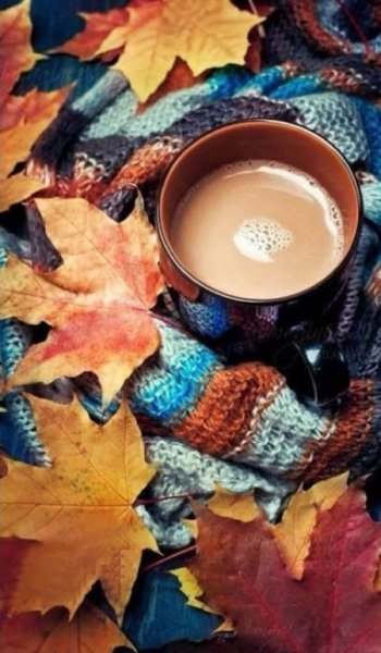  254 عکس پاییز برای تصویر زمینه