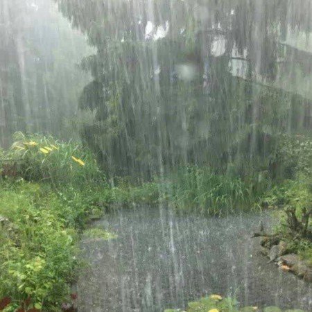  254 عکس پاییز برای تصویر زمینه