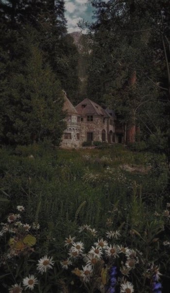  254 عکس پاییز برای تصویر زمینه