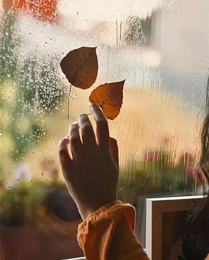  عکس پاییزی غمگین