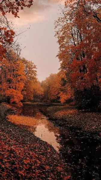  عکس پاییزی غمگین