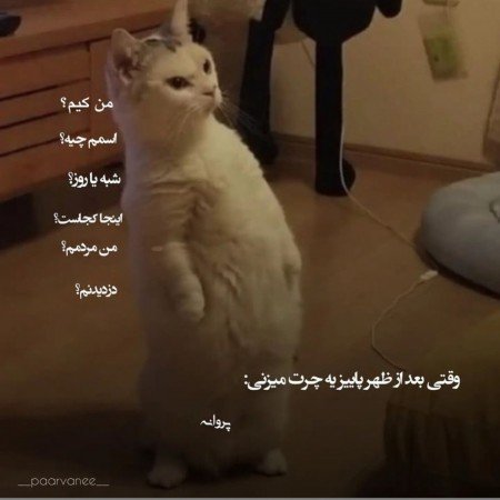  عکس پاییزی غمگین