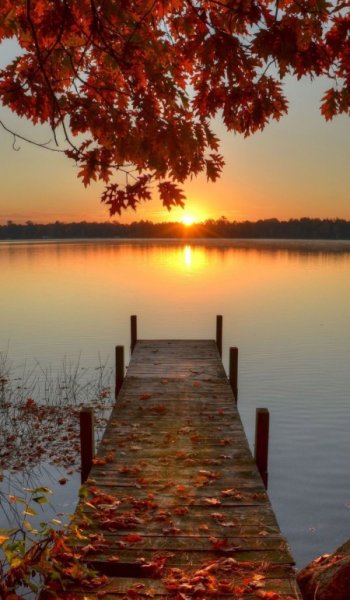  عکس پاییزی غمگین