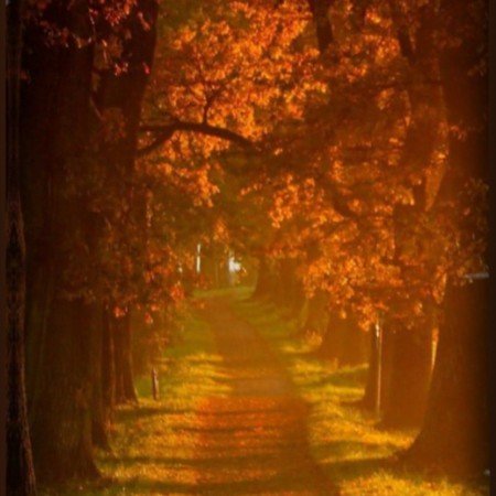  عکس پاییزی غمگین