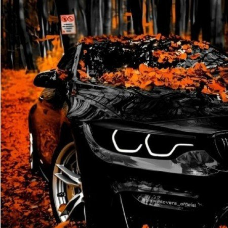  عکس پاییز برای پروفایل واتساپ