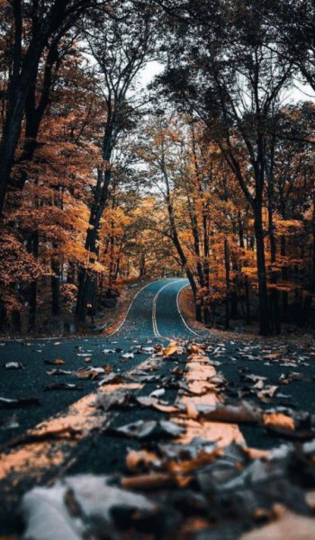  عکس پاییز برای پروفایل واتساپ