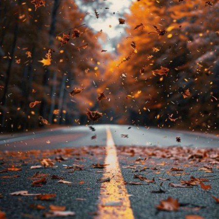  عکس پاییز برای پروفایل واتساپ