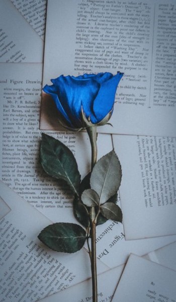  عکس پاییز برای پروفایل واتساپ