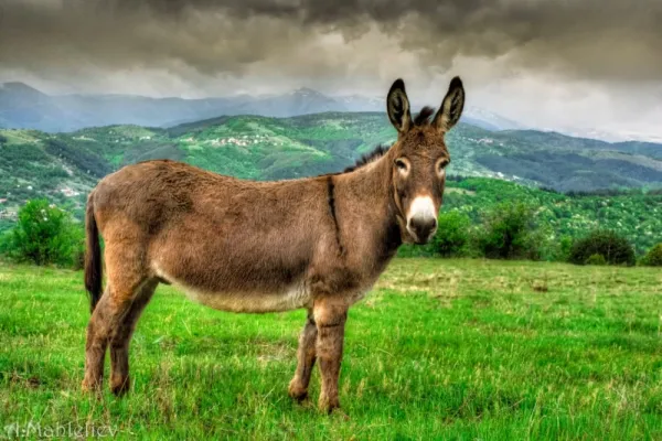  Ane عکس قدیمی خودم