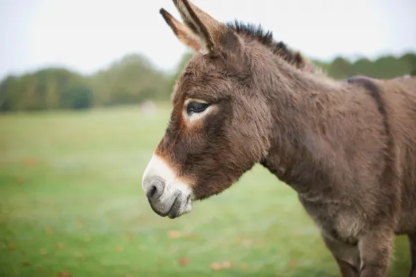 عکس های قدیمی خودم