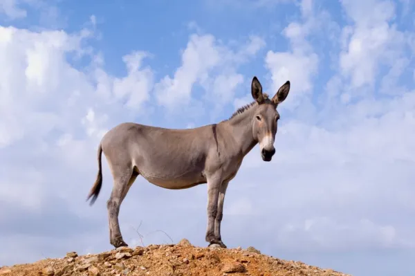  عکس های قدیمی خودم