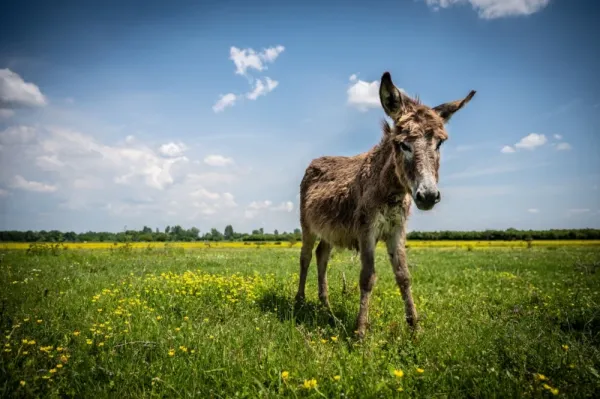 هوش مصنوعي ane عکس قدیمی خودم