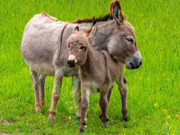  Ane عکس قدیمی و جدید