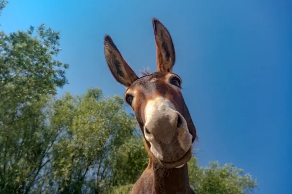  Ane عکس قدیمی و جدید