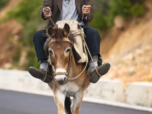  گوگل عکس قدیمی ane خودم