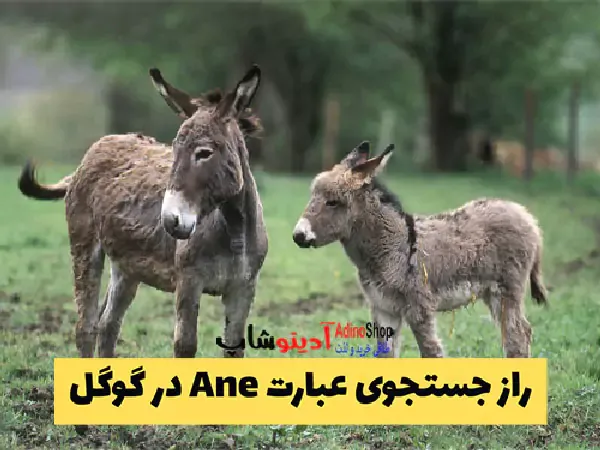  Ane عکس قدیمی خودم دانلود مستقیم