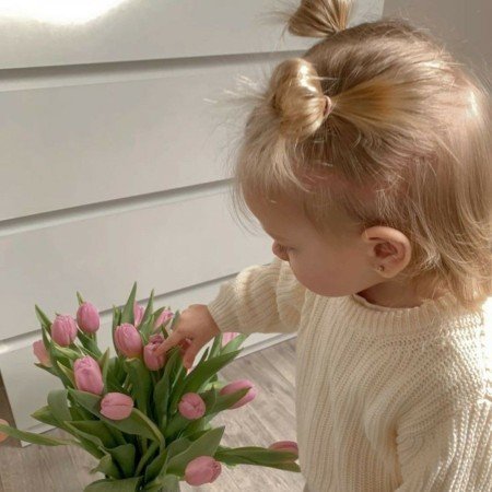  عکس گل رز واقعی