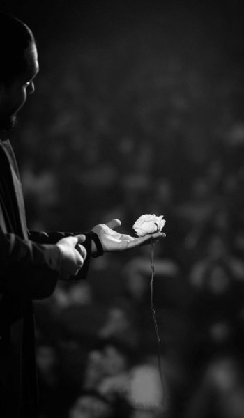  عکس گل رز واقعی