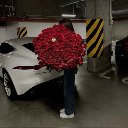  عکس گل رز واقعی