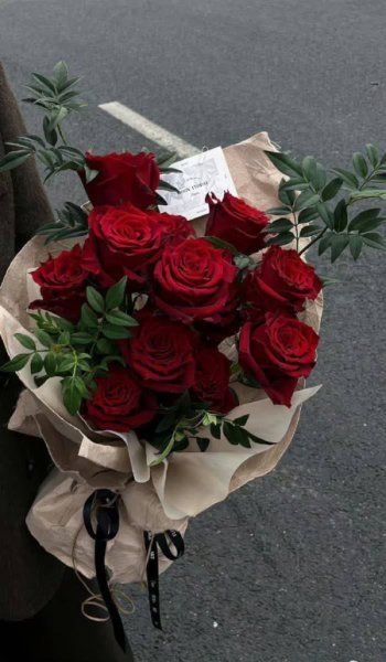  عکس گل رز واقعی