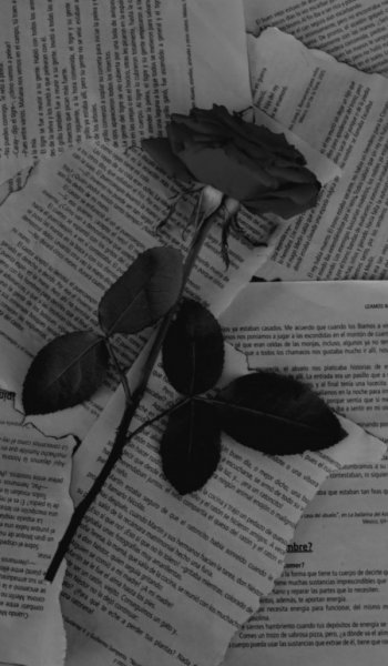  عکس گل طبیعی زیبا