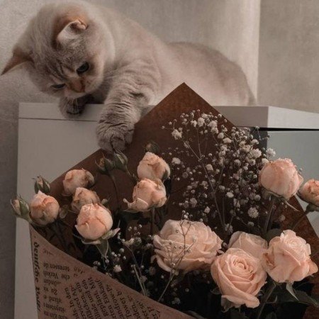  عکس گل طبیعی زیبا