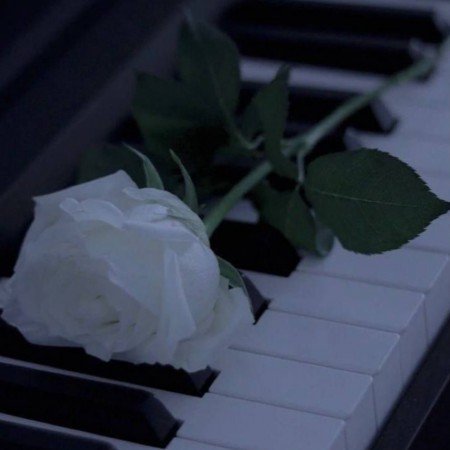  عکس گل عشق برای پروفایل