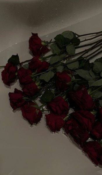  عکس گل عشق برای پروفایل