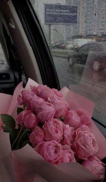  عکس گل عشق برای پروفایل