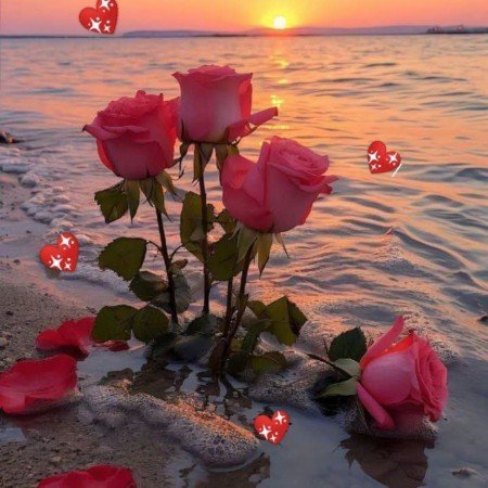  عکس گل عشق برای پروفایل