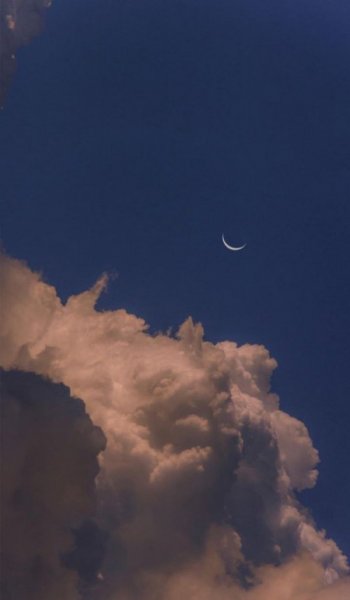  عکس گل برای پروفایل شاد