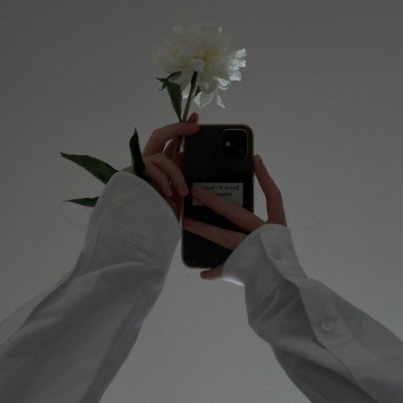  عکس گل برای پروفایل شاد