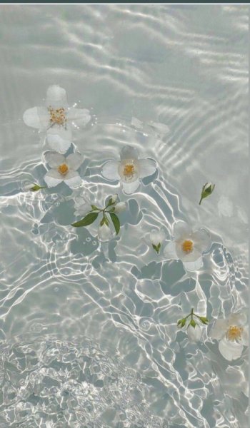  عکس گل عشق طبیعی