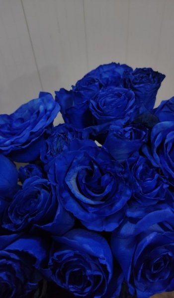  عکس گل عشق طبیعی