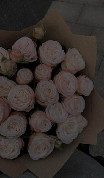  254 عکس گل عشق برای پروفایل