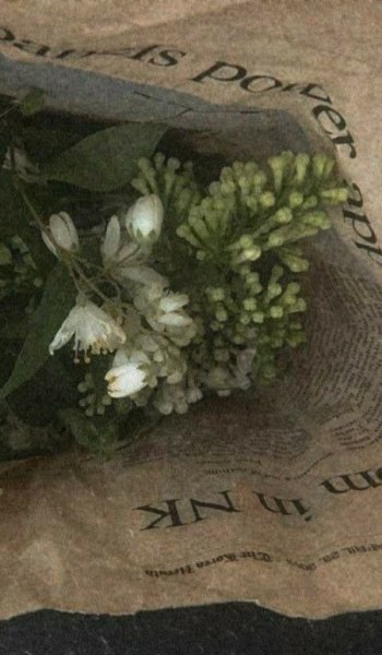  254 عکس گل عشق برای پروفایل