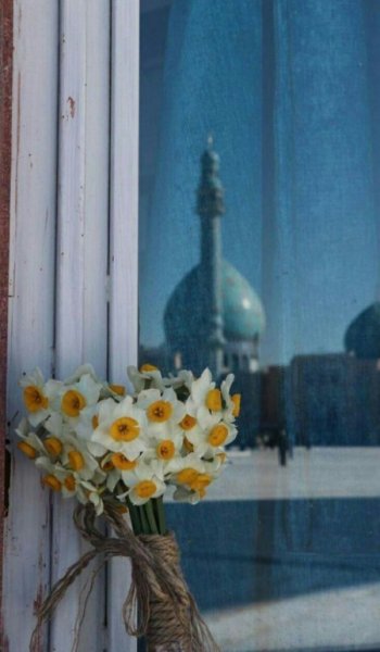  254 عکس گل عشق برای پروفایل