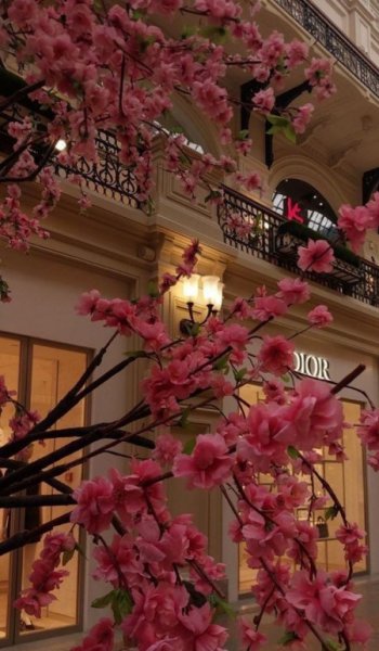  874 عکس گل طبیعی