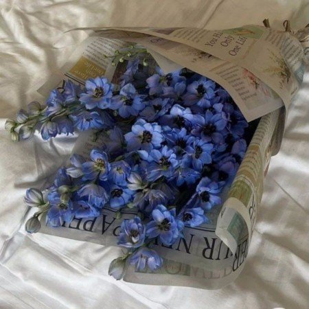  عکس گل عشق برای تصویر زمینه