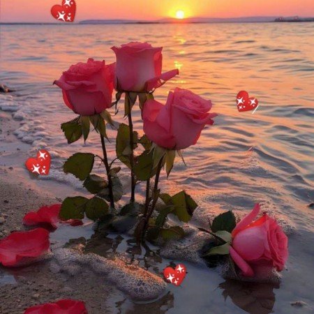  عکس گل عشق برای تصویر زمینه