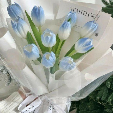  عکس گل عشق برای تصویر زمینه