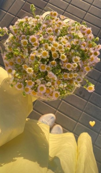  عکس گل عشق دوست دارم