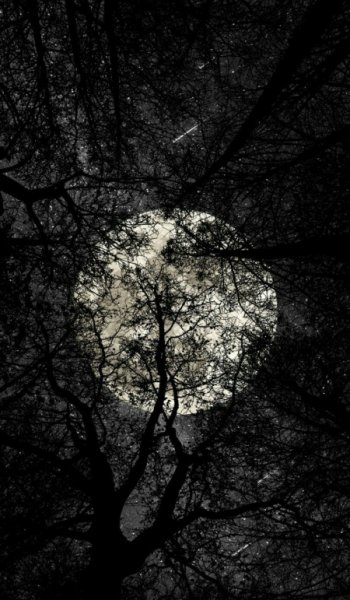  عکس ماه در شب واقعی