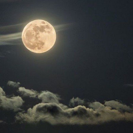  عکس ماه در شب واقعی