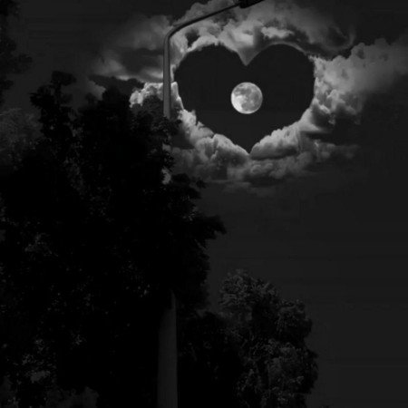  عکس ماه در شب واقعی