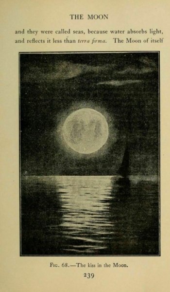  عکس ماه در شب واقعی